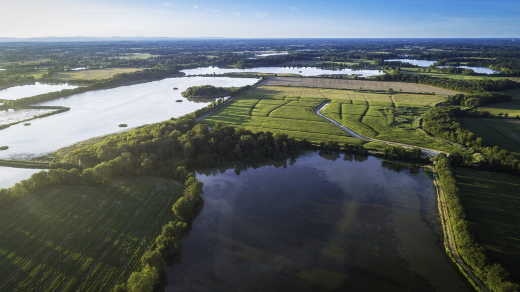 tourisme dans la région : étangs des dombes